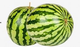 网红大瓜下载,下载背后的惊人真相